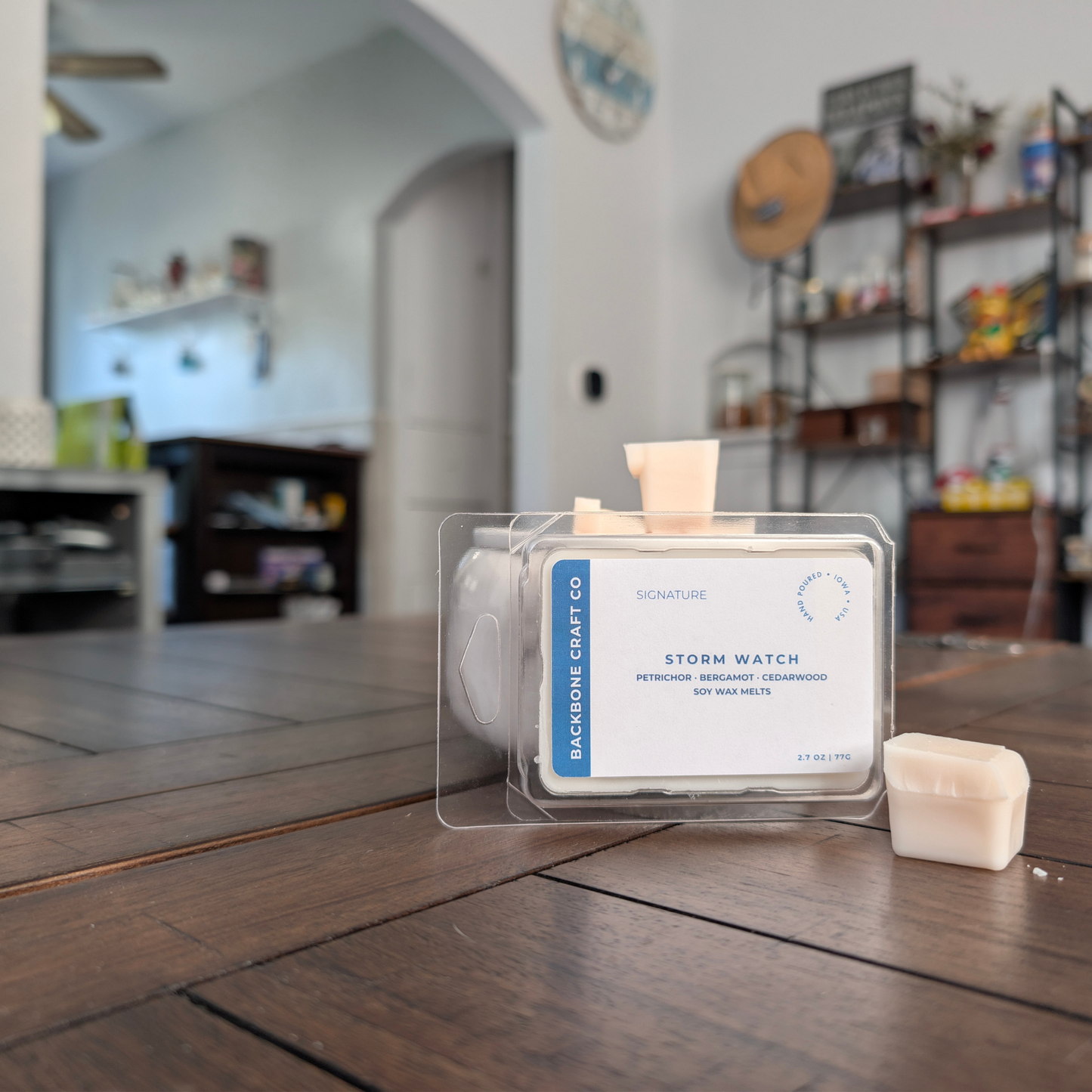 Storm Watch Wax Melt