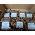 Fall Collection Sampler Pack